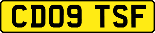 CD09TSF
