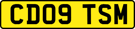 CD09TSM