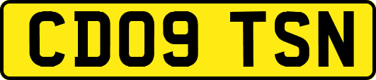 CD09TSN