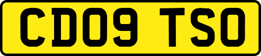 CD09TSO