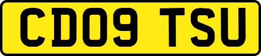 CD09TSU