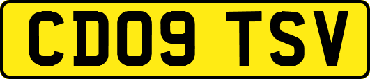 CD09TSV