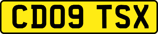 CD09TSX