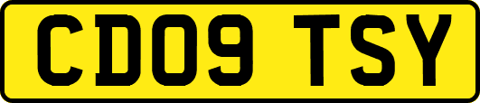 CD09TSY
