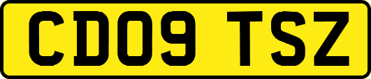 CD09TSZ