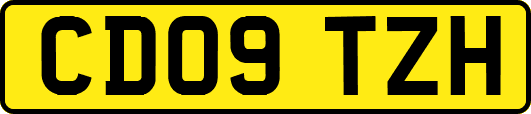 CD09TZH