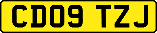 CD09TZJ