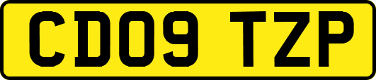 CD09TZP