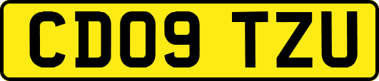 CD09TZU