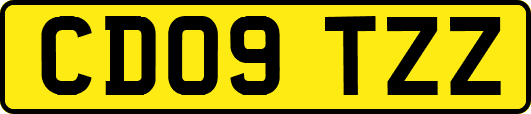 CD09TZZ