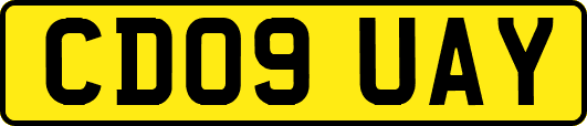 CD09UAY