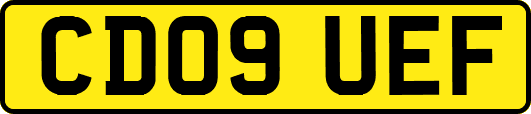 CD09UEF