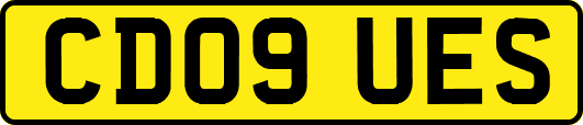 CD09UES