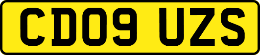 CD09UZS