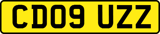 CD09UZZ