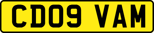 CD09VAM