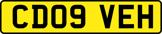 CD09VEH