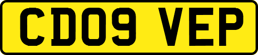 CD09VEP