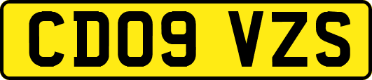 CD09VZS