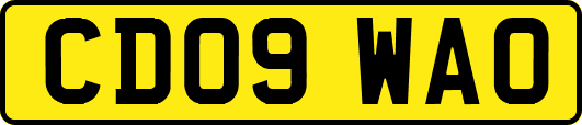 CD09WAO