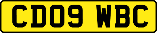 CD09WBC
