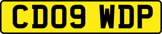 CD09WDP