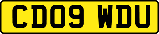 CD09WDU