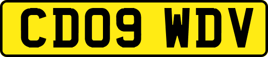 CD09WDV