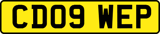 CD09WEP