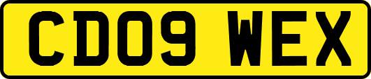 CD09WEX