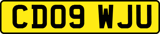 CD09WJU