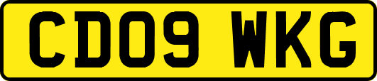 CD09WKG