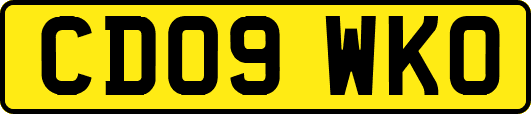 CD09WKO