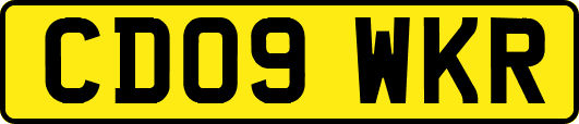 CD09WKR