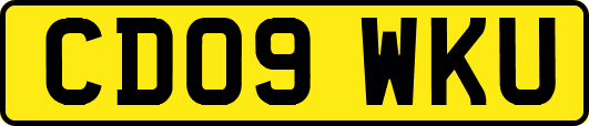CD09WKU
