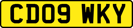 CD09WKY