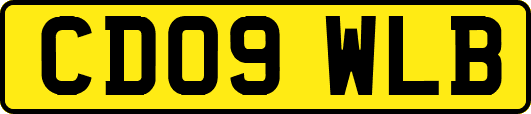 CD09WLB