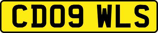 CD09WLS