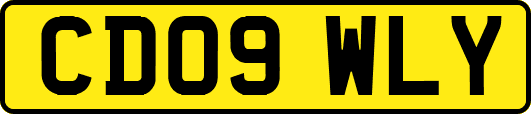 CD09WLY