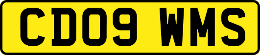 CD09WMS