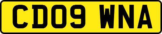 CD09WNA