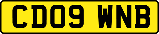 CD09WNB