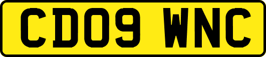 CD09WNC