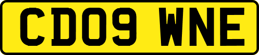 CD09WNE