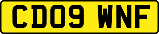 CD09WNF