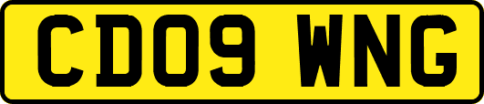 CD09WNG