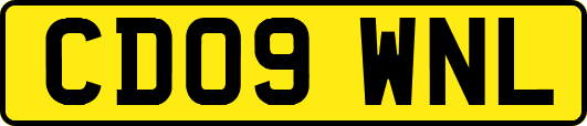 CD09WNL
