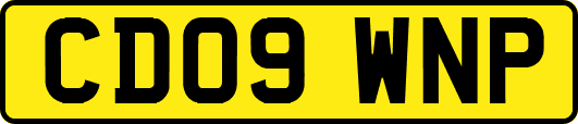 CD09WNP