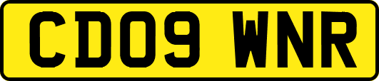 CD09WNR