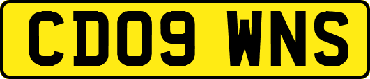 CD09WNS